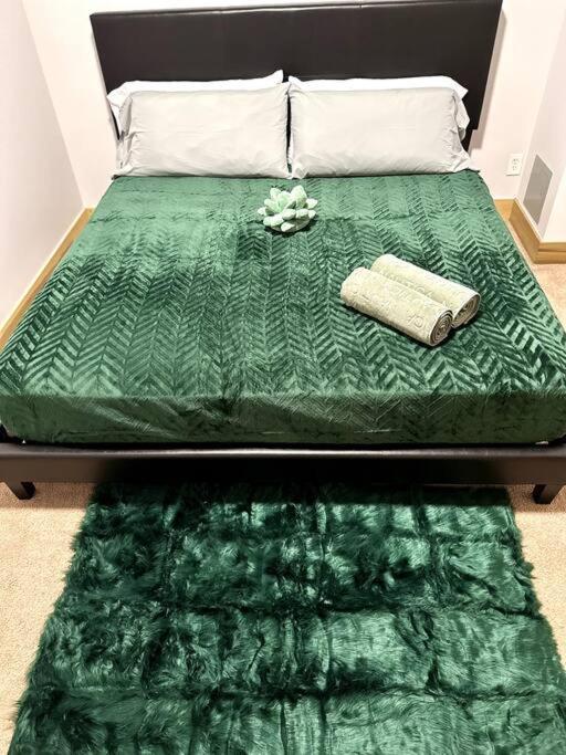 Serene Living Downtown Stl Loft Сейнт Луис Екстериор снимка