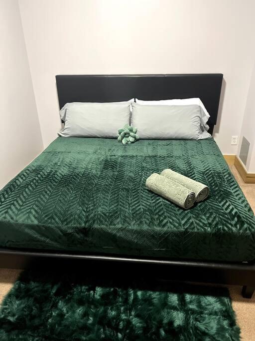 Serene Living Downtown Stl Loft Сейнт Луис Екстериор снимка